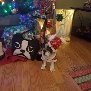 Meet your Posher, Vicky